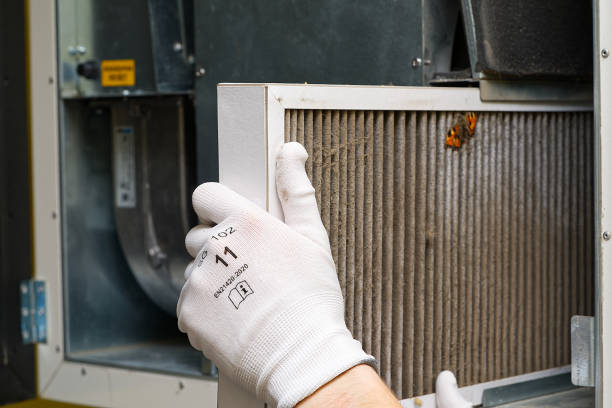 Best Ductwork Cleaning Services  in Mars Hill, NC