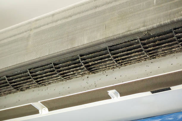 Best Professional Duct Cleaning Services  in Mars Hill, NC